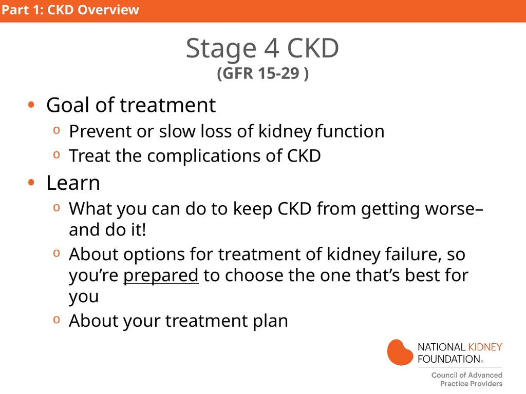 Kidney Disease Education PART 1: CKD Overview - slide 12 of 27