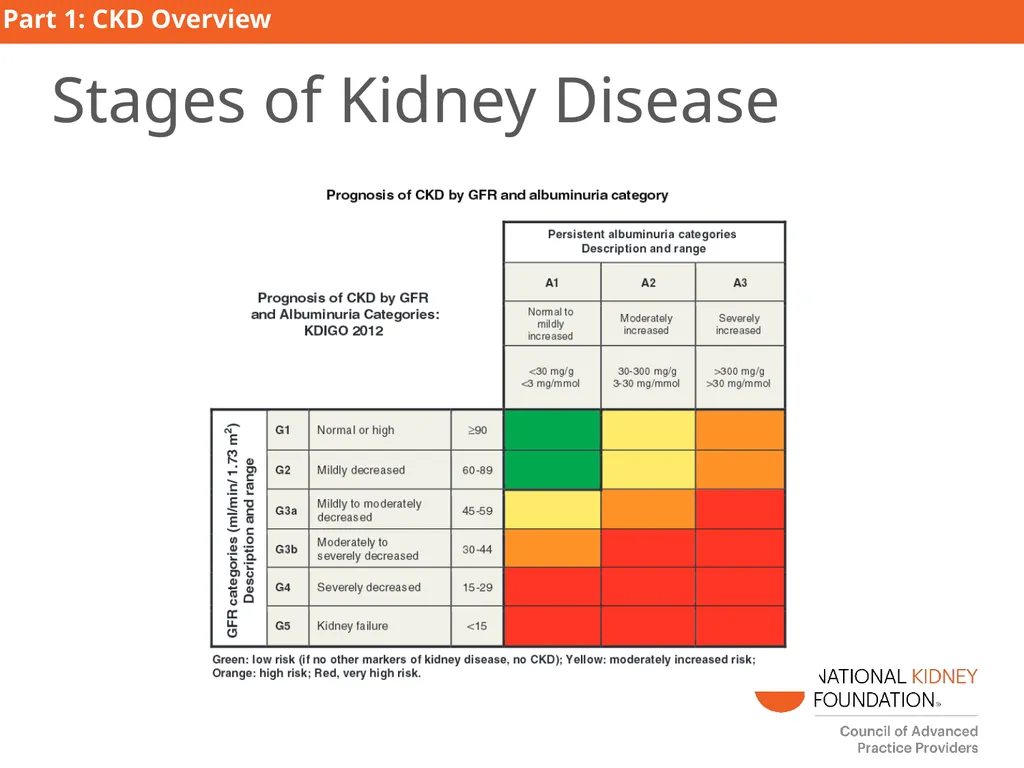 Kidney Disease Education PART 1: CKD Overview - slide 10 of 27