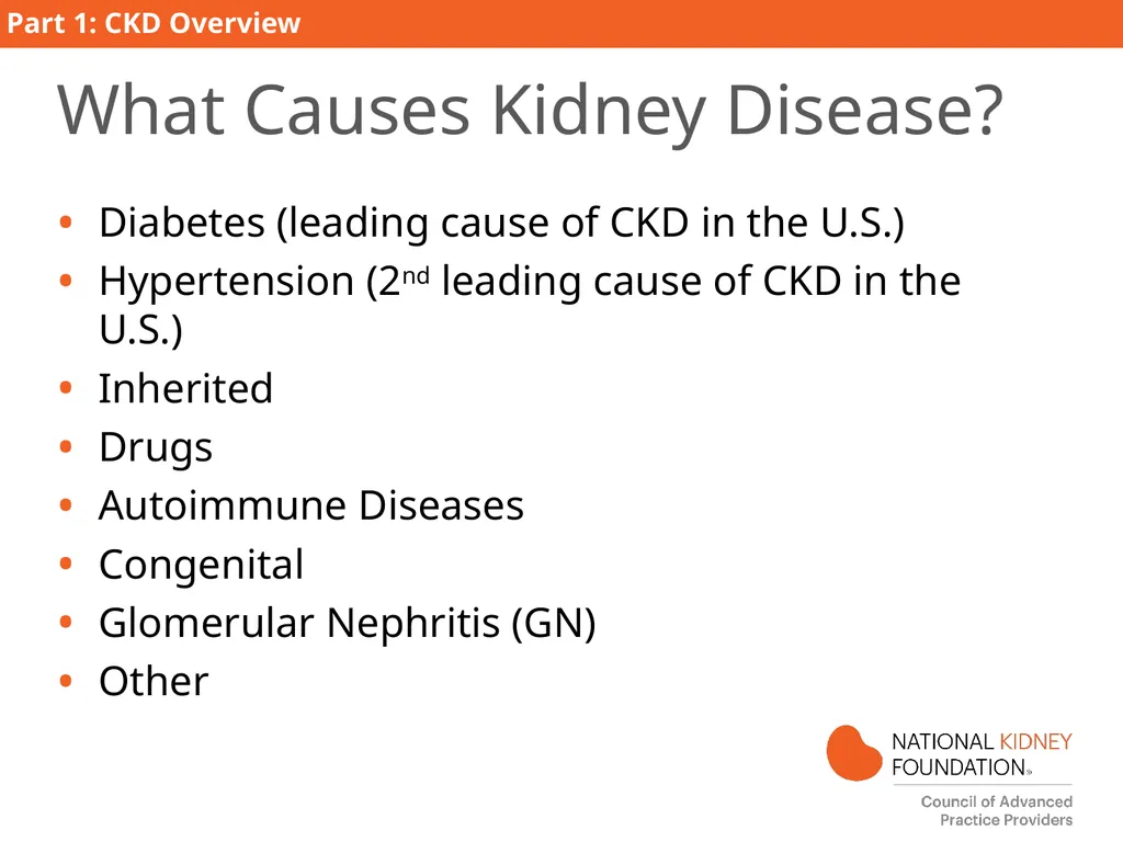 Kidney Disease Education PART 1: CKD Overview - slide 6 of 27