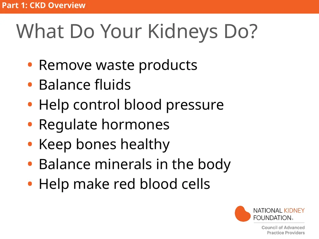 Kidney Disease Education PART 1: CKD Overview - slide 4 of 27