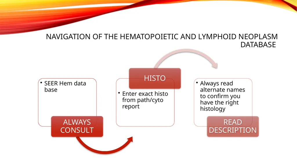 LYMPHOMA & LEUKEMIA a closer look SEER - slide 26 of 37