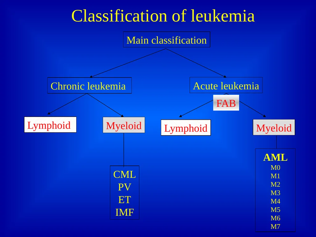 Leukemia Dr. Versha Prasad Introduction to - slide 14 of 15