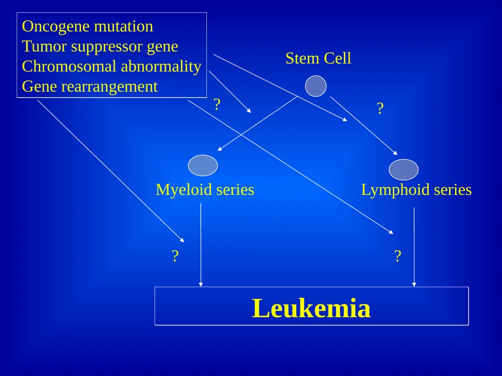 Leukemia Dr. Versha Prasad Introduction to - slide 6 of 15
