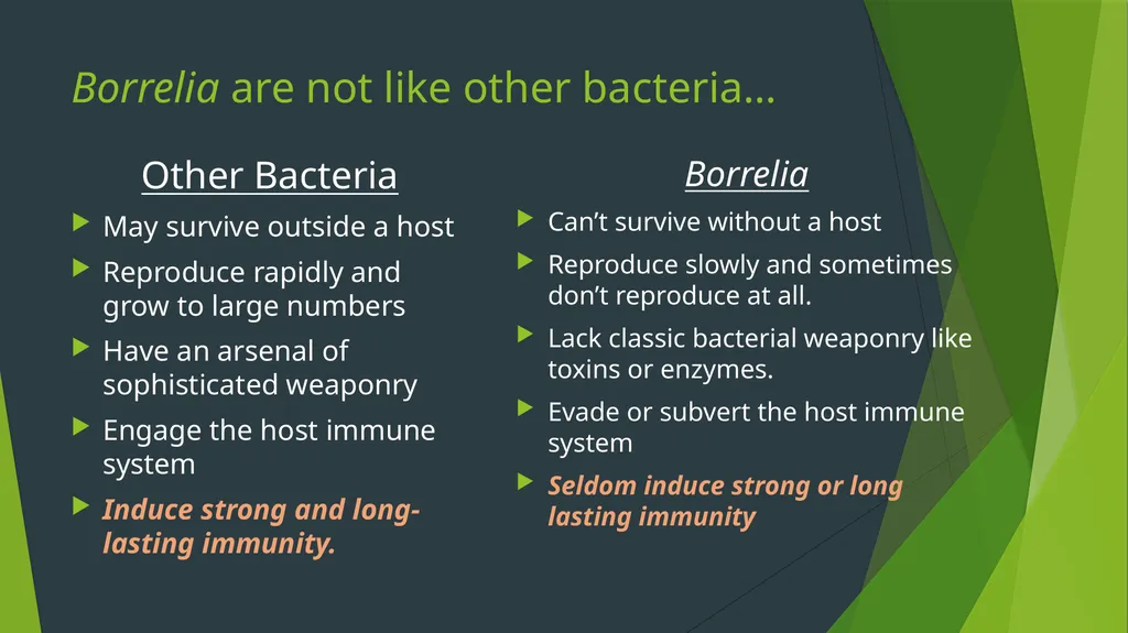 What makes Lyme disease such a medical challenge? - slide 3 of 11