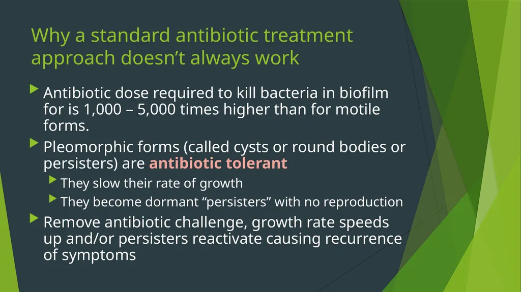What makes Lyme disease such a medical challenge? - slide 9 of 11