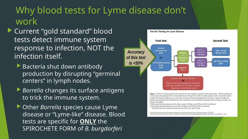 What makes Lyme disease such a medical challenge? - slide 8 of 11