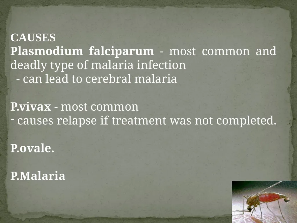 Malaria mosquito-borne infectious disease caused - slide 3 of 36