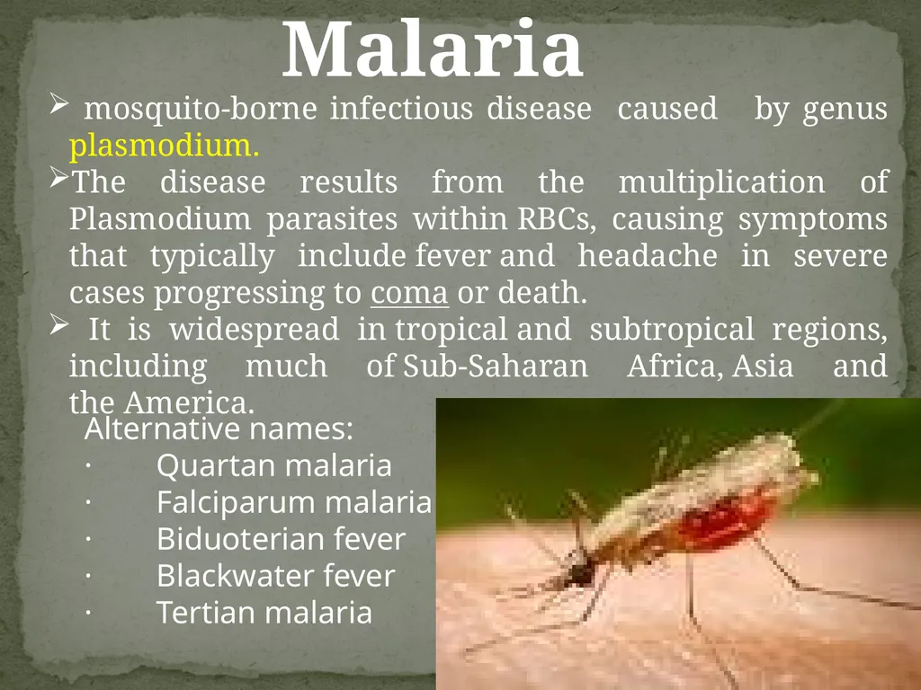 Malaria mosquito-borne infectious disease caused