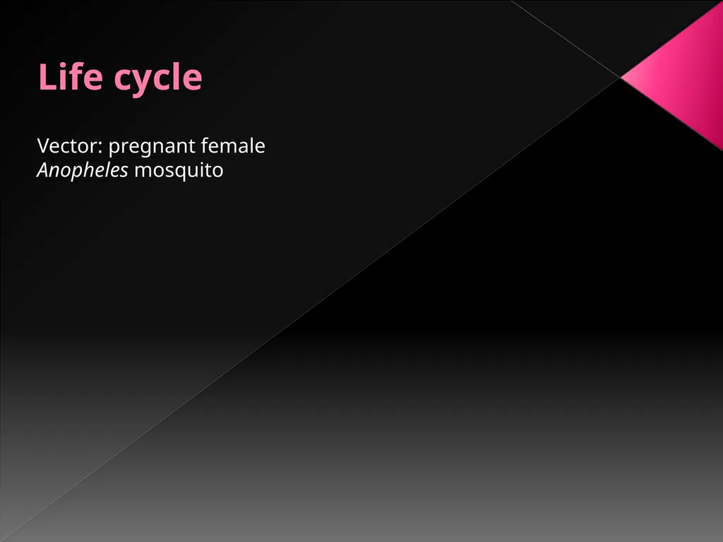 MALARIA By TARIK ZAHER Assistant Professor of - slide 13 of 46