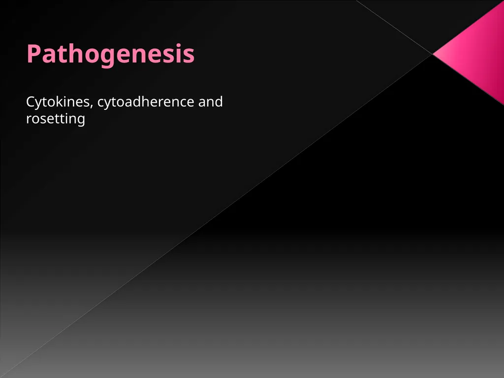 MALARIA By TARIK ZAHER Assistant Professor of - slide 15 of 46