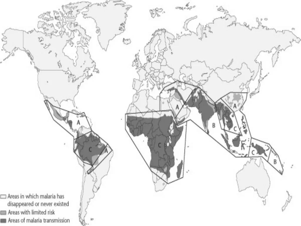 MALARIA By TARIK ZAHER Assistant Professor of - slide 4 of 46