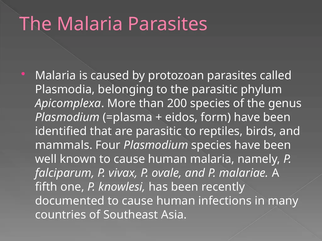 MALARIA By TARIK ZAHER Assistant Professor of - slide 6 of 46