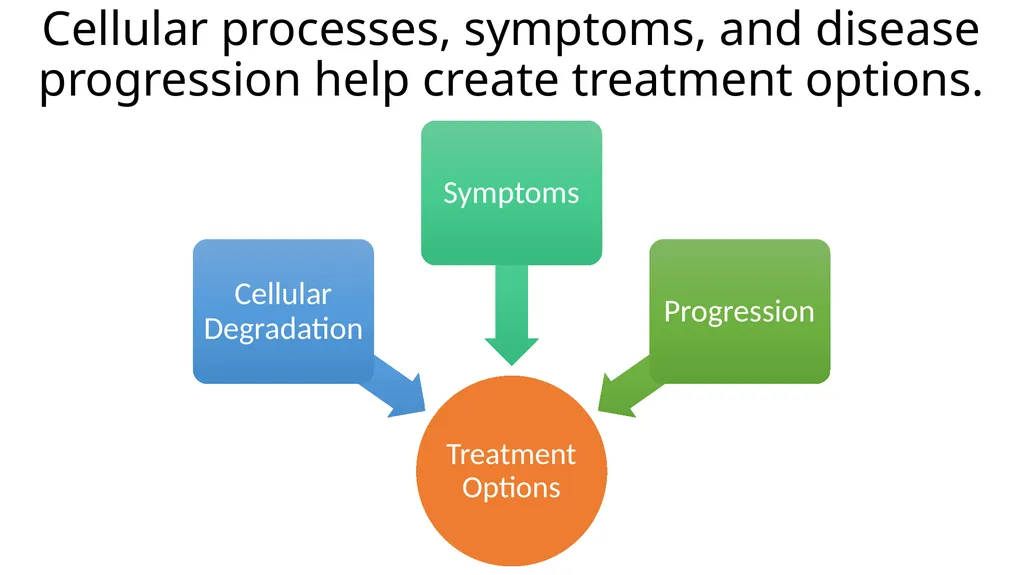 Multiple Sclerosis Kiera Borthwick “What does MS - slide 3 of 12