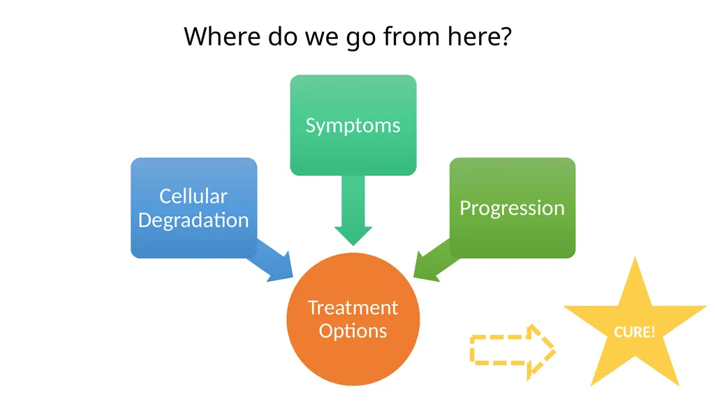 Multiple Sclerosis Kiera Borthwick “What does MS - slide 11 of 12
