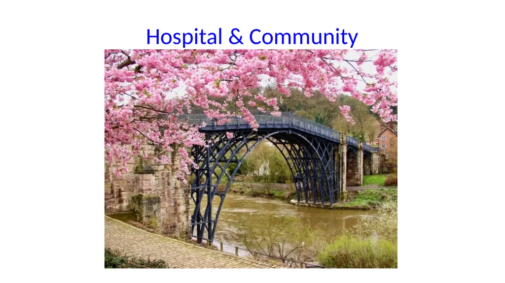 A palliative approach to multiple sclerosis: - slide 48 of 69