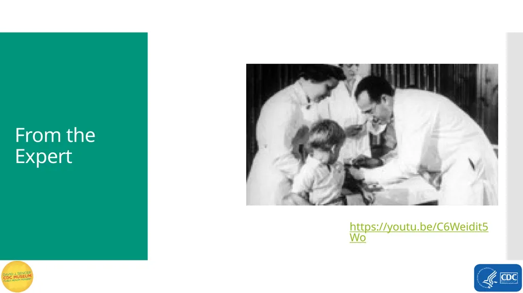 Exploring Polio Terms to Know Word Bank virus - slide 8 of 15