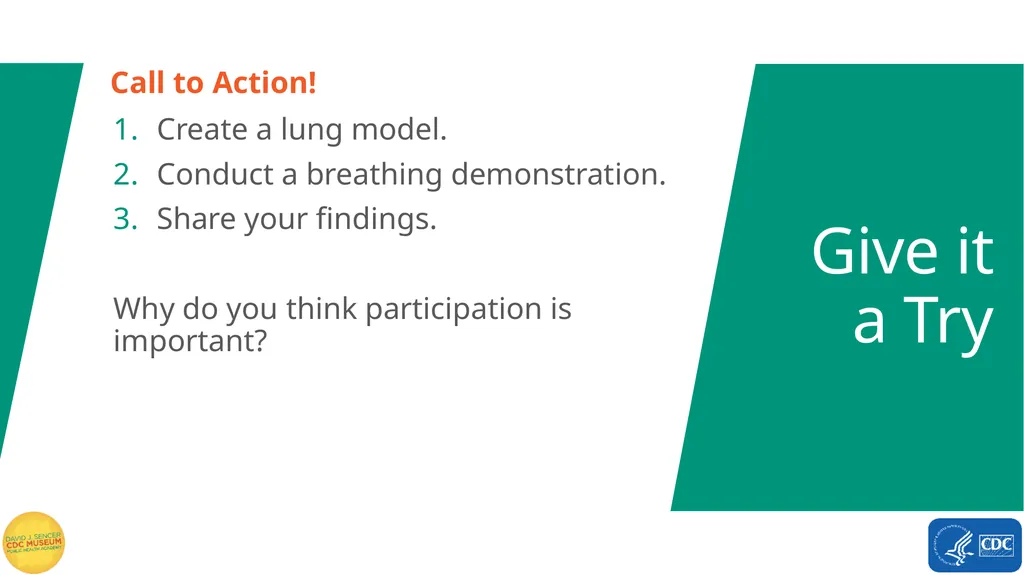 Exploring Polio Terms to Know Word Bank virus - slide 10 of 15