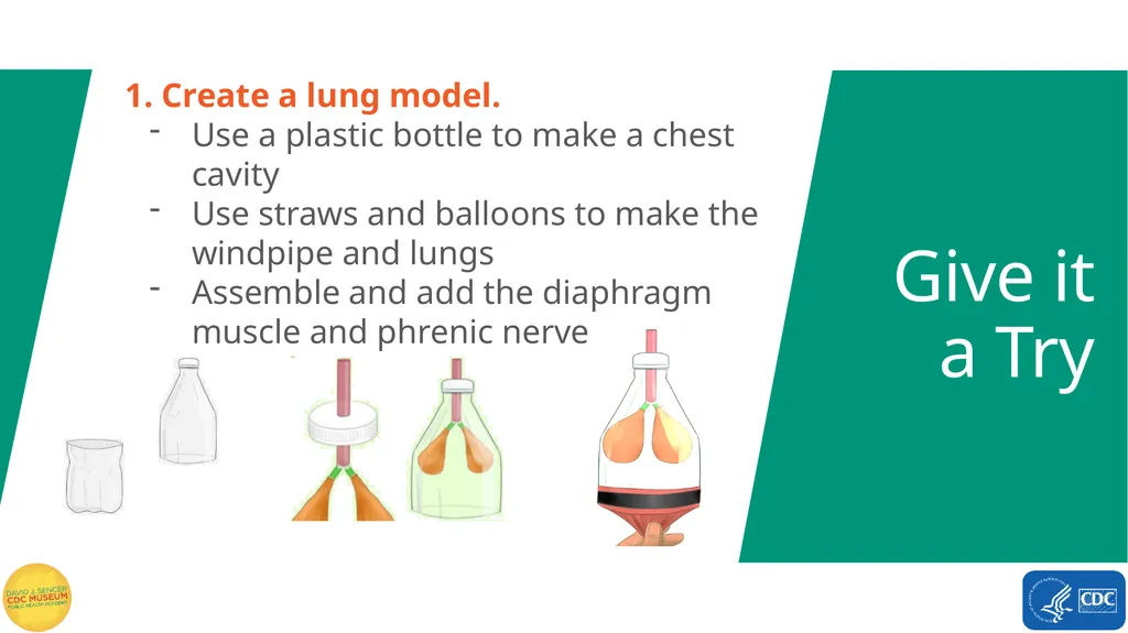 Exploring Polio Terms to Know Word Bank virus - slide 12 of 15