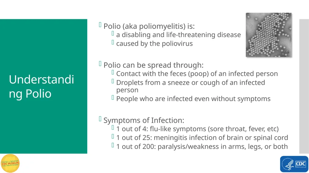 Exploring Polio Terms to Know Word Bank virus - slide 3 of 15