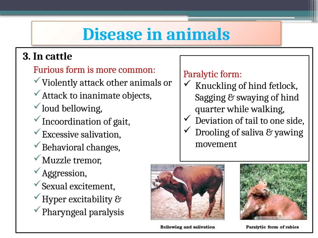 ‘Veterinary Epidemiology & Zoonoses’ VPH-321 - slide 12 of 22