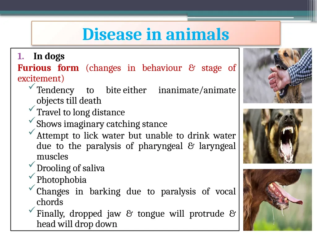 ‘Veterinary Epidemiology & Zoonoses’ VPH-321 - slide 10 of 22