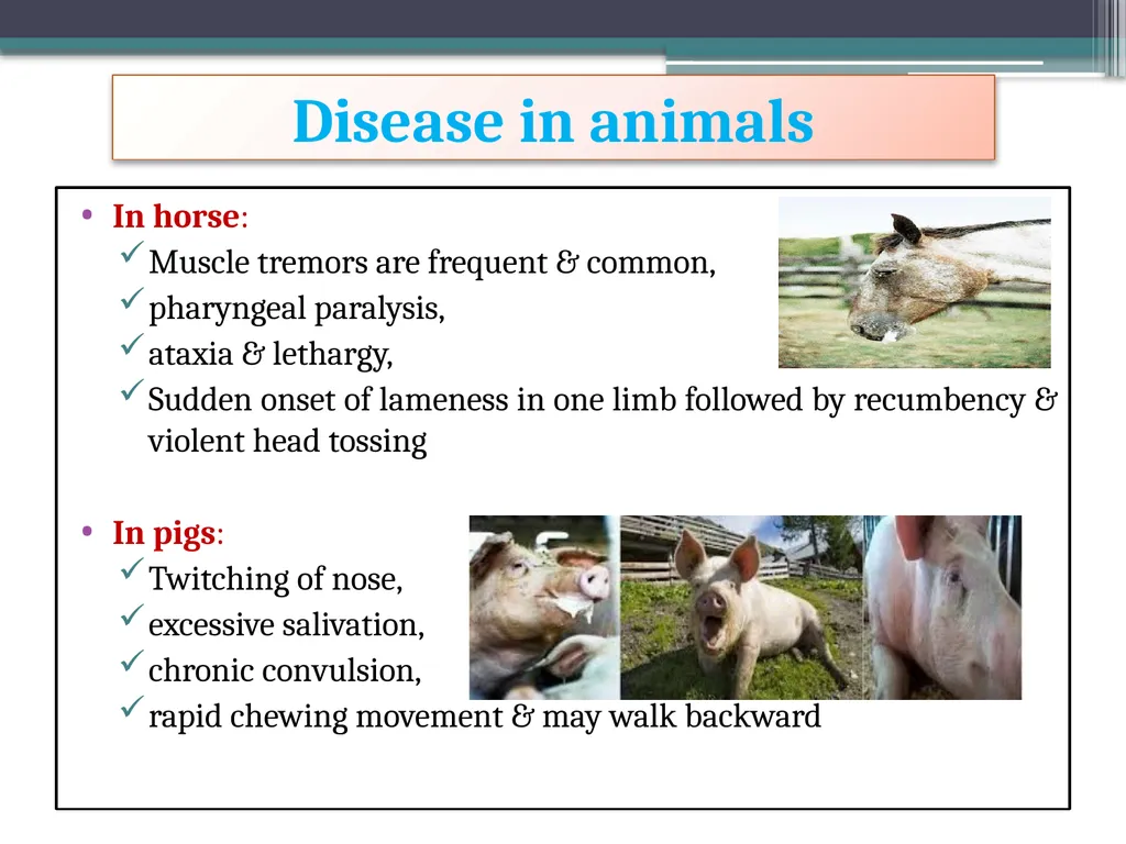‘Veterinary Epidemiology & Zoonoses’ VPH-321 - slide 14 of 22