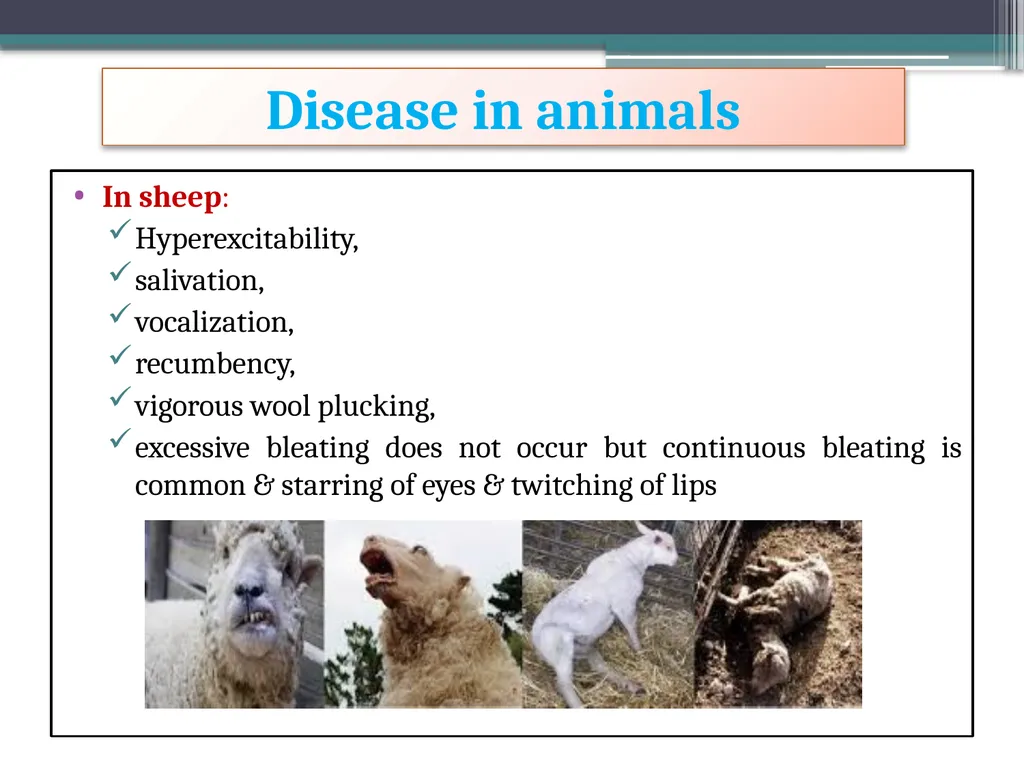 ‘Veterinary Epidemiology & Zoonoses’ VPH-321 - slide 13 of 22
