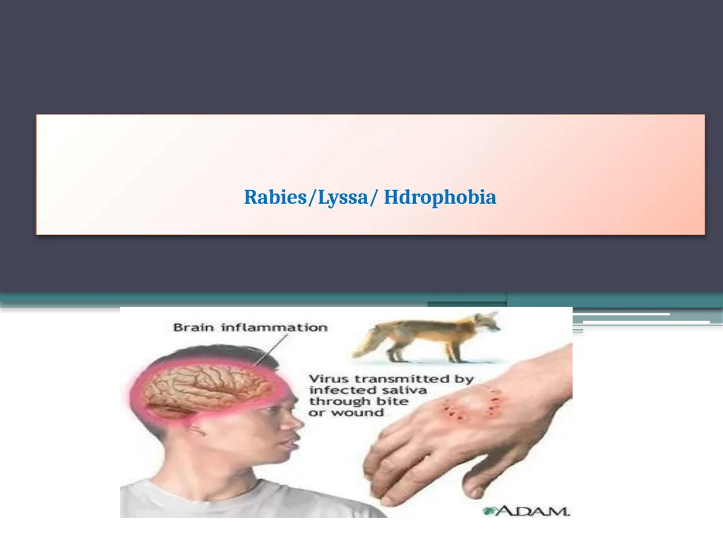 ‘Veterinary Epidemiology & Zoonoses’ VPH-321 - slide 2 of 22