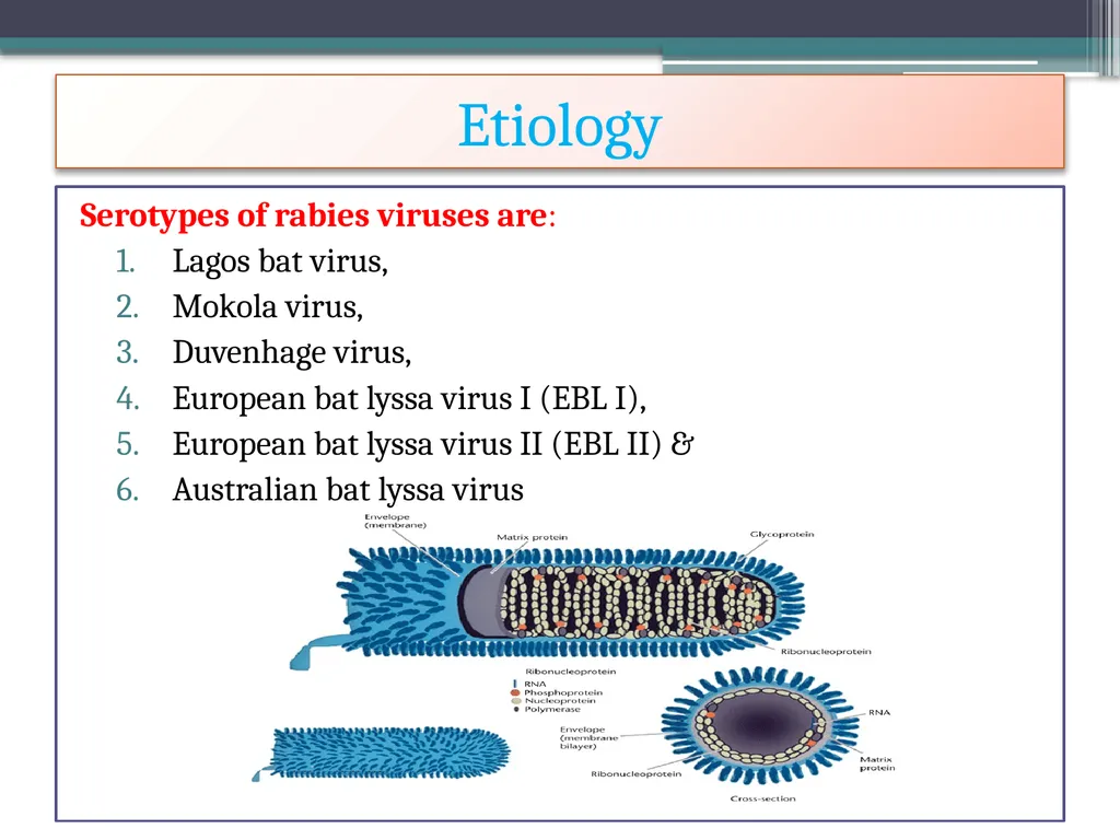‘Veterinary Epidemiology & Zoonoses’ VPH-321 - slide 6 of 22