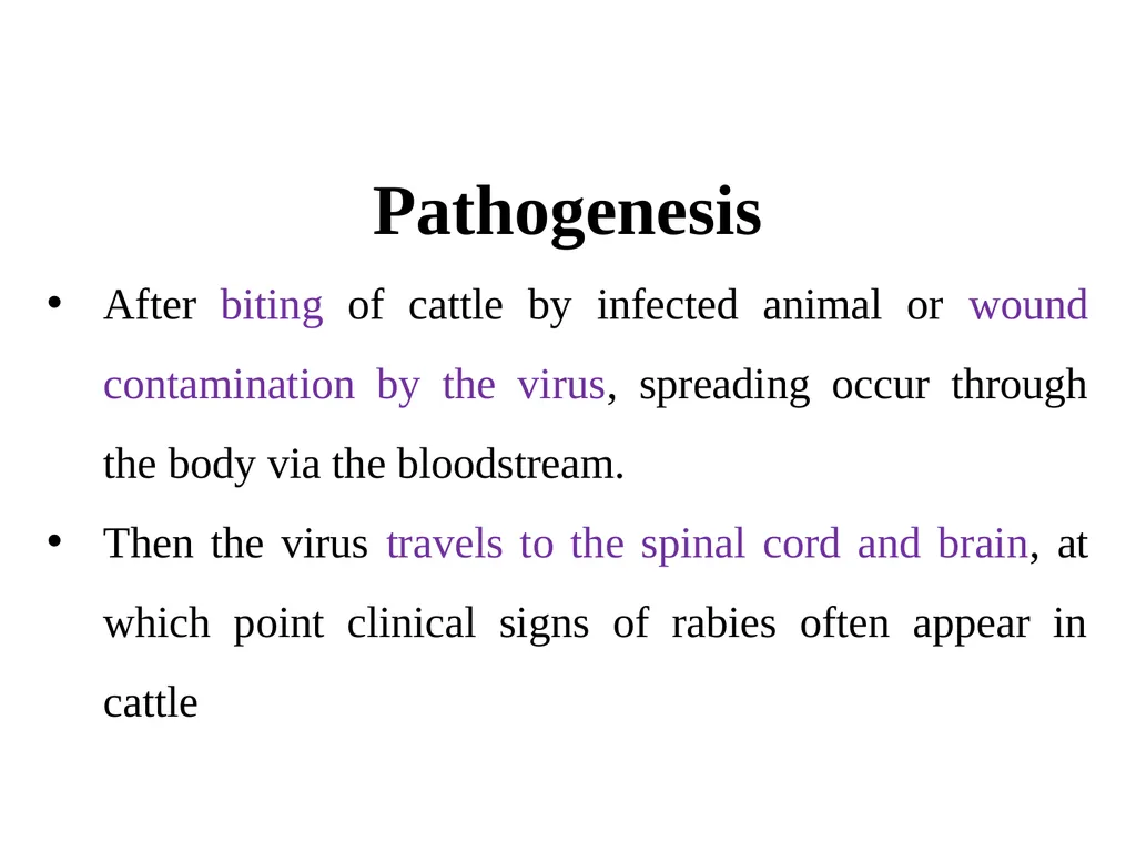 Rabies Hydrophobia, lyssa or lytta By Dr/ Marawan - slide 10 of 22