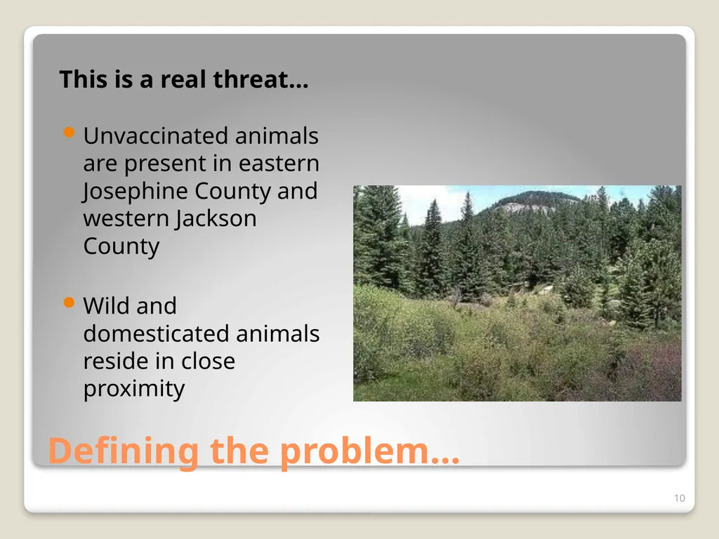 Don’t Let Rabies Get Your Goat! A collaboration - slide 10 of 20