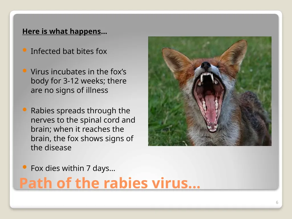 Don’t Let Rabies Get Your Goat! A collaboration - slide 6 of 20