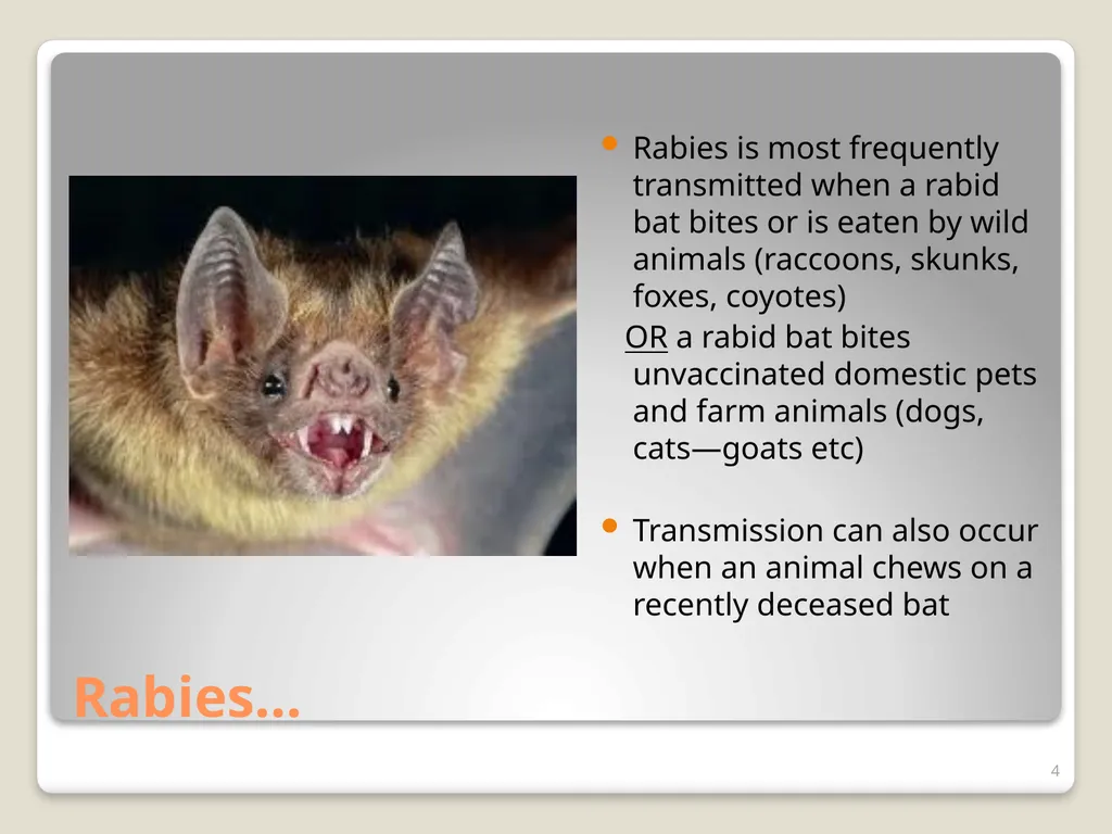 Don’t Let Rabies Get Your Goat! A collaboration - slide 4 of 20