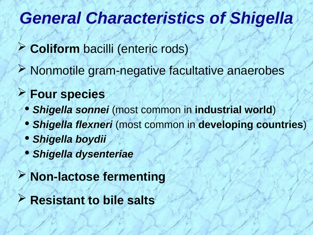 Salmonellae are often pathogenic for humans or - slide 13 of 18