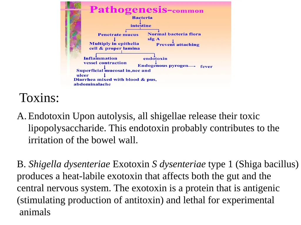 Salmonellae are often pathogenic for humans or - slide 16 of 18