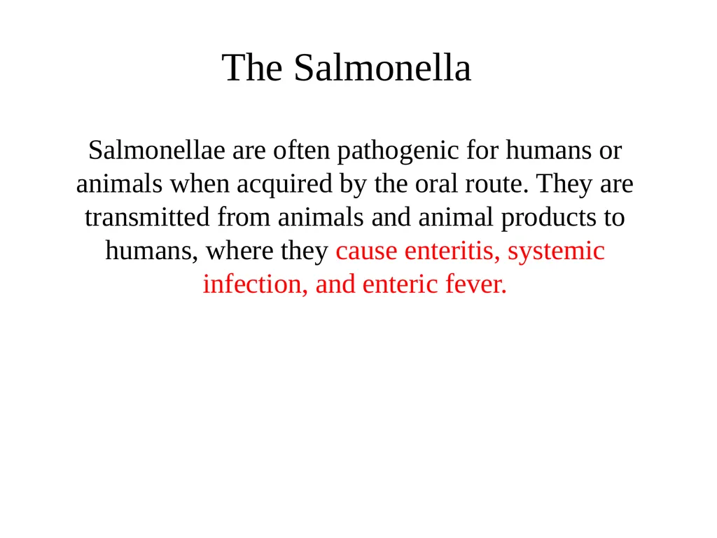 Salmonellae are often pathogenic for humans or - slide 1 of 18