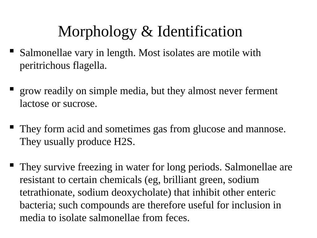 Salmonellae are often pathogenic for humans or - slide 2 of 18