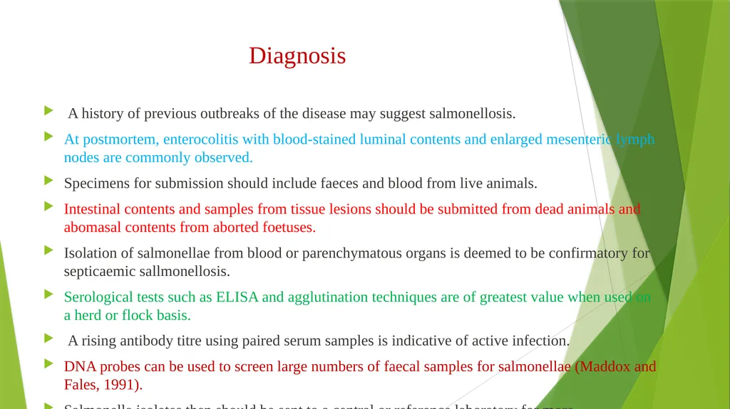 Salmonellosis Dr. Bipin Kumar Assistant Professor - slide 11 of 15