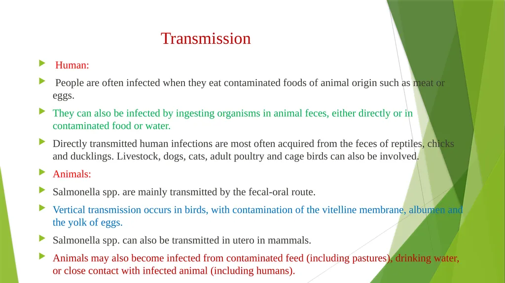 Salmonellosis Dr. Bipin Kumar Assistant Professor - slide 4 of 15
