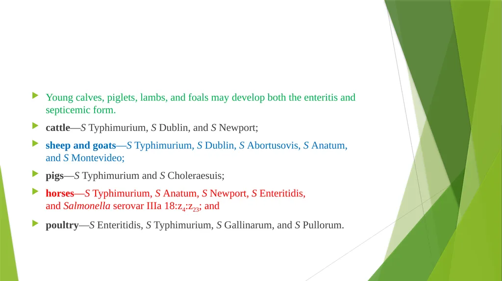 Salmonellosis Dr. Bipin Kumar Assistant Professor - slide 3 of 15