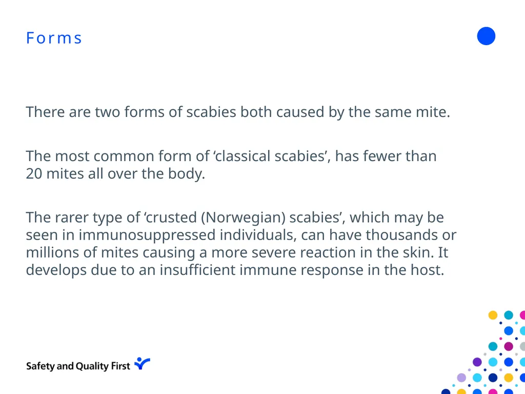 Scabies June 2022 Clair Stokes Infection - slide 4 of 18