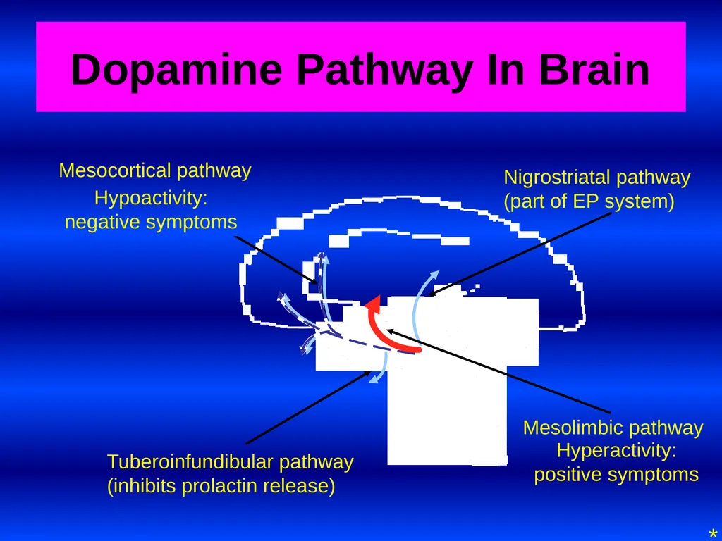 SCHIZOPHRENIA Presenter: Dr. Arpit Jaiswal - slide 17 of 46