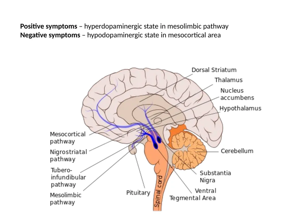 Schizophrenia and other psychotic disorders - slide 37 of 56