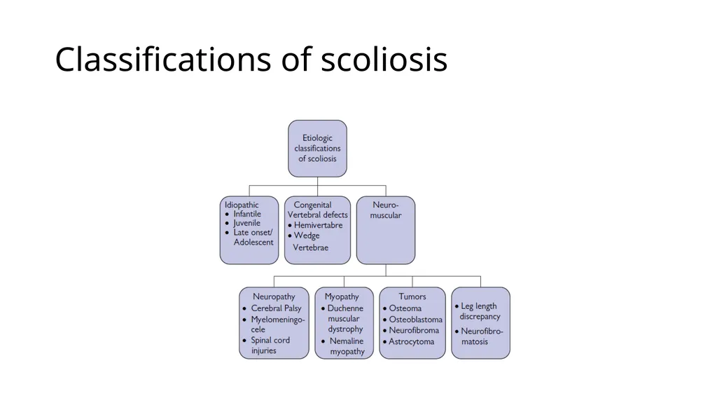Scoliosis By Prof. Salah Hawas General description - slide 9 of 25