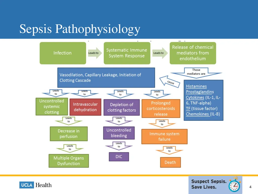 Sepsis: How Laboratory Can Help Mackenzie Roesti, - slide 4 of 9