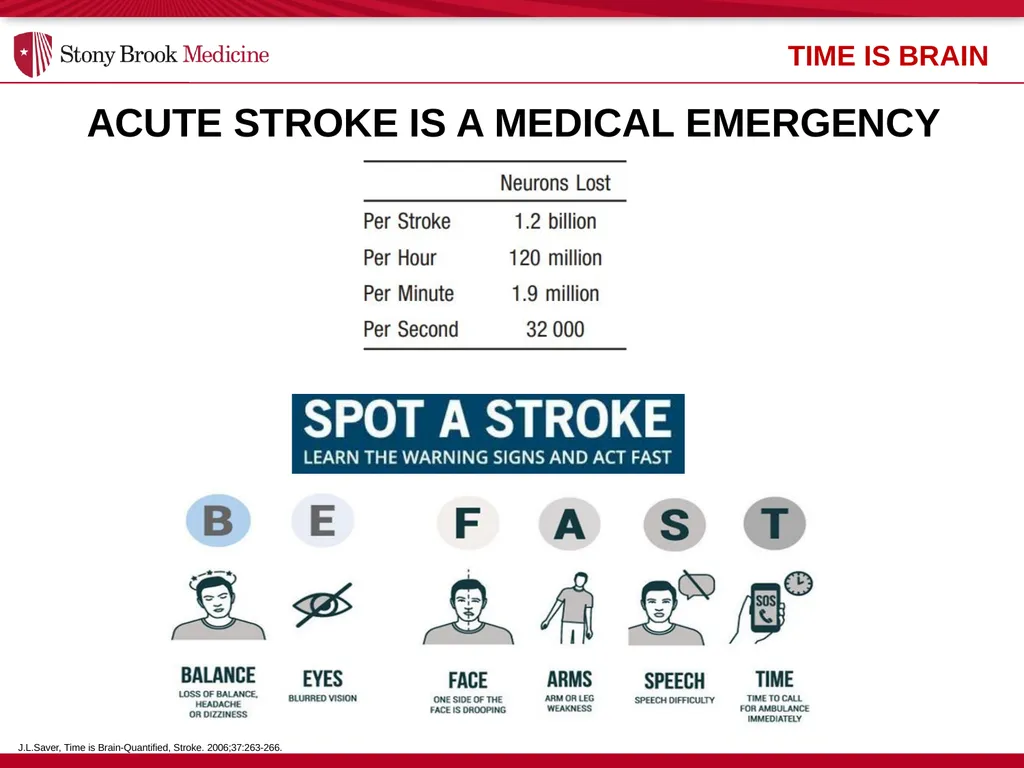 Stony Brook Medicine Comprehensive Stroke Program - slide 6 of 22