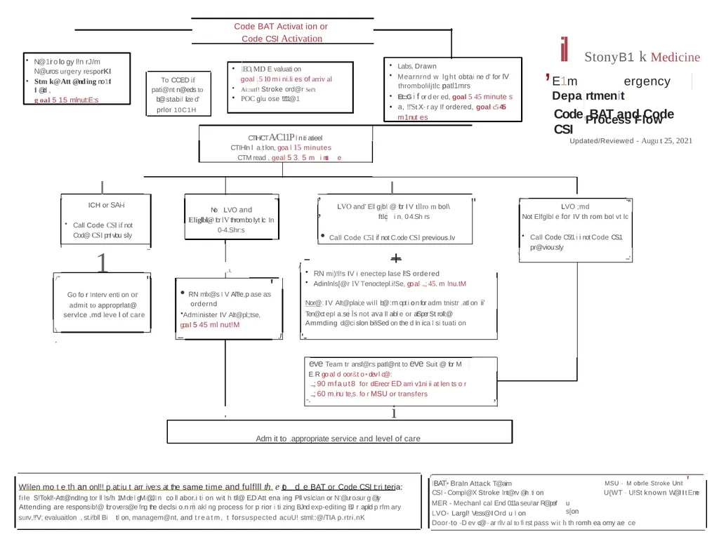 Stony Brook Medicine Comprehensive Stroke Program - slide 12 of 22