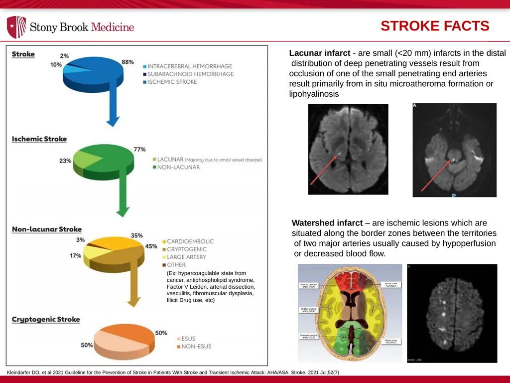 Stony Brook Medicine Comprehensive Stroke Program - slide 4 of 22