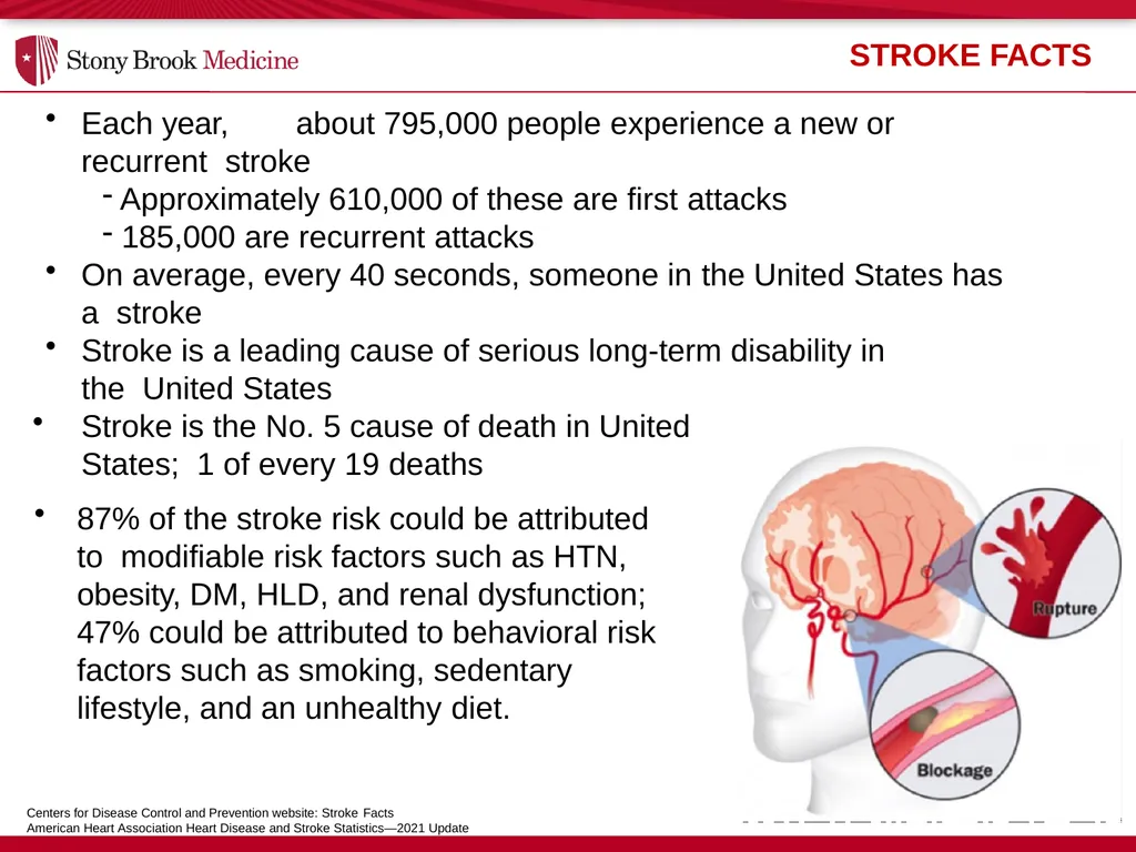 Stony Brook Medicine Comprehensive Stroke Program - slide 3 of 22