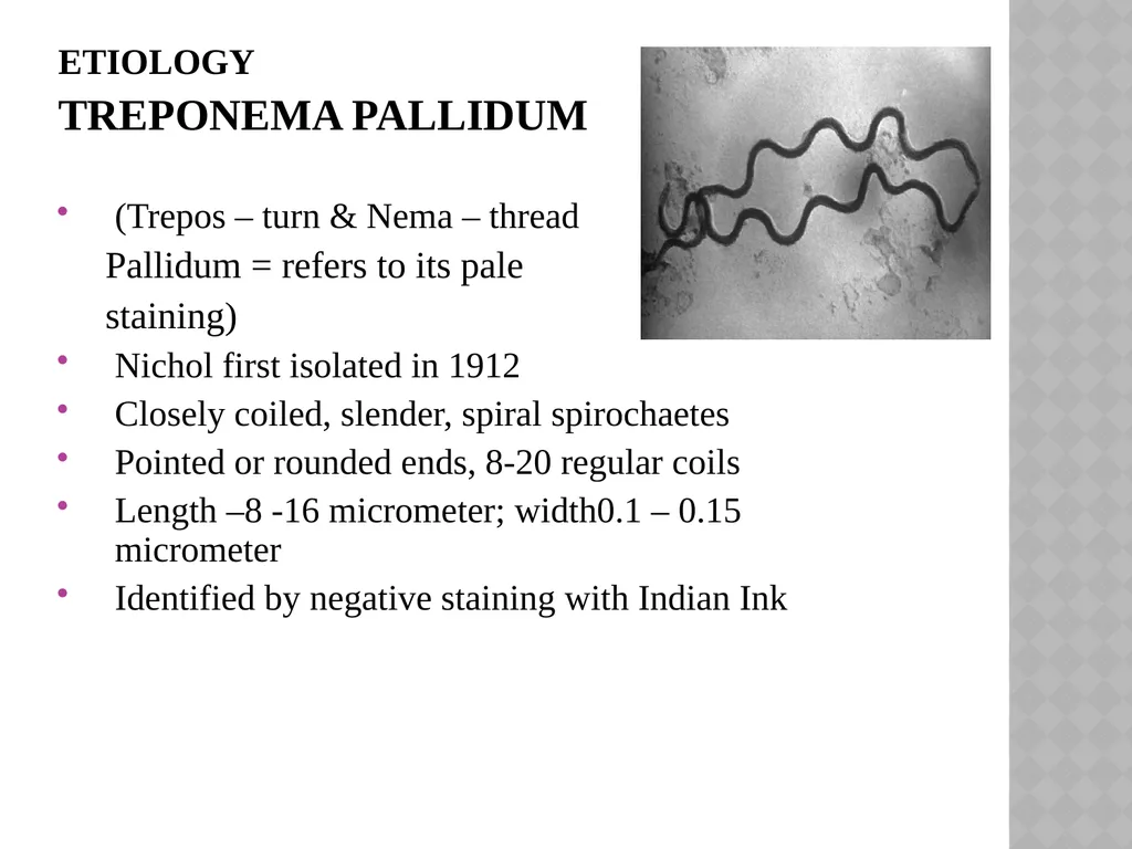 syphilis Learning points INTRODUCTION ETIOLOGY - slide 6 of 75